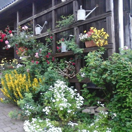 Appartement Urlaub Auf Dem Bauernhof à Augustusburg Extérieur photo